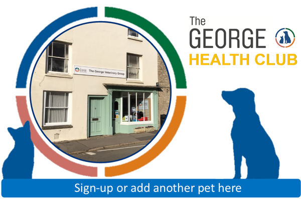 George Health Club Tetbury